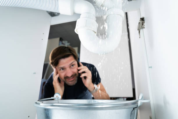 Best Shower Repair Services  in Carthage, IL