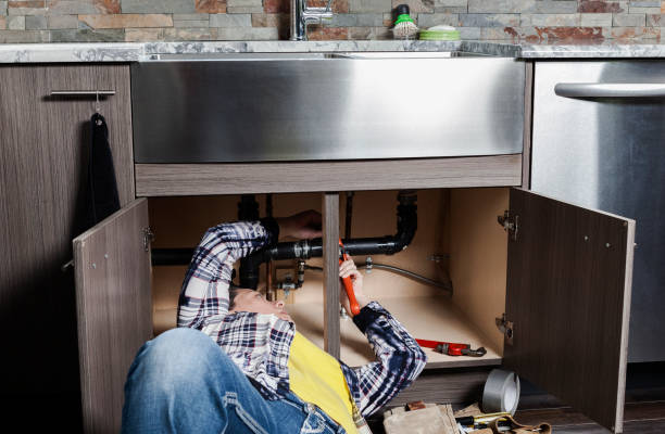 Best Plumbing Inspection Services  in Carthage, IL
