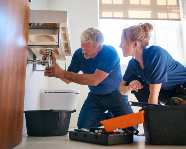 Best Faucet Repair  in Carthage, IL